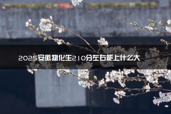 2025安徽物化生210分左右能上什么大学 可以报考的院校名单