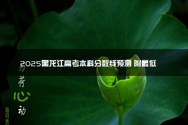 2025黑龙江高考本科分数线预测 附最低录取分预估