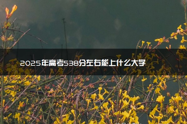2025年高考538分左右能上什么大学 可以报考院校有哪些