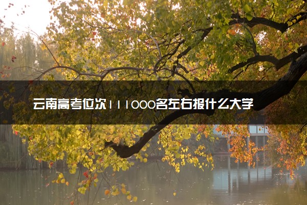 云南高考位次111000名左右报什么大学好（2025年参考）