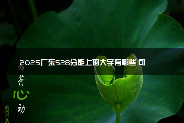 2025广东528分能上的大学有哪些 可以报考院校名单