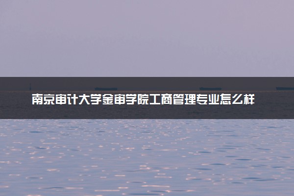 南京审计大学金审学院工商管理专业怎么样 录取分数线多少