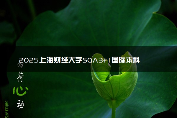 2025上海财经大学SQA3+1国际本科招生简章