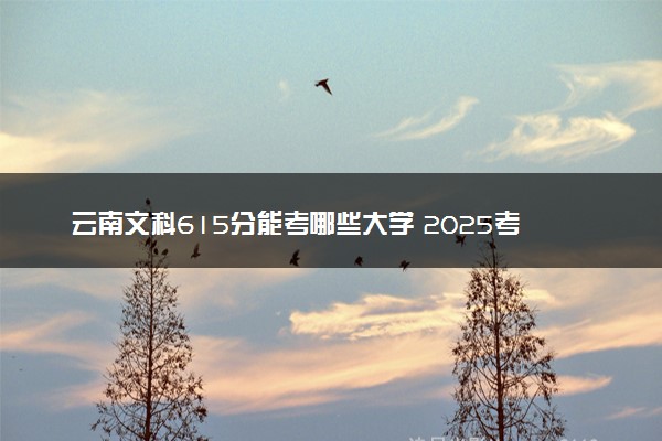 云南文科615分能考哪些大学 2025考生稳上的大学名单