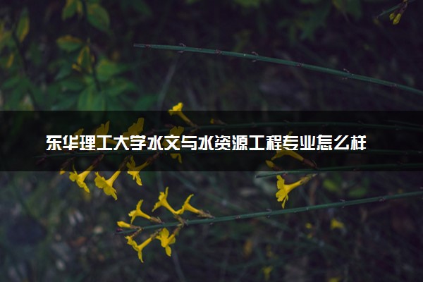 东华理工大学水文与水资源工程专业怎么样 录取分数线多少
