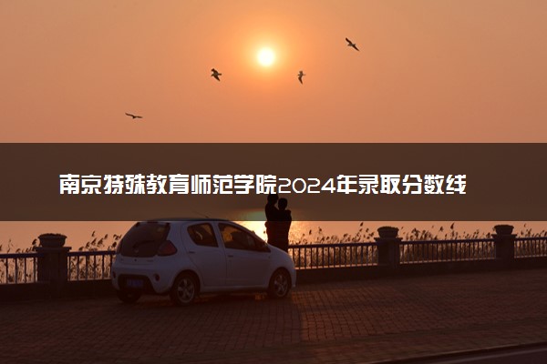 南京特殊教育师范学院2024年录取分数线汇总 各省最低分与位次排名及2025报考指南