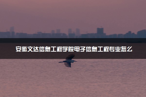 安徽文达信息工程学院电子信息工程专业怎么样 录取分数线多少
