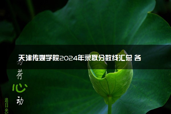 天津传媒学院2024年录取分数线汇总 各省最低分与位次排名及2025报考指南