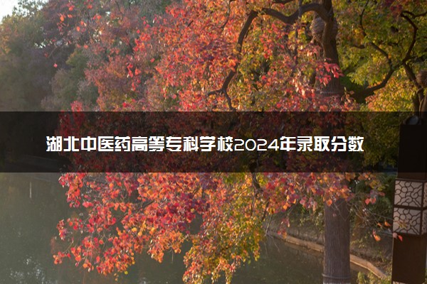 湖北中医药高等专科学校2024年录取分数线汇总 各省最低分与位次排名及2025报考指南