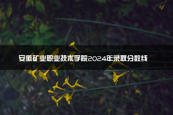 安徽矿业职业技术学院2024年录取分数线汇总 各省最低分与位次排名及2025报考指南