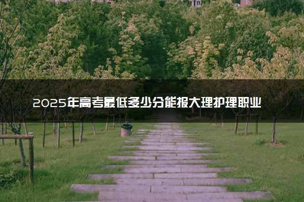 2025年高考最低多少分能报大理护理职业学院？附大理护理职业学院历年录取分数线及位次
