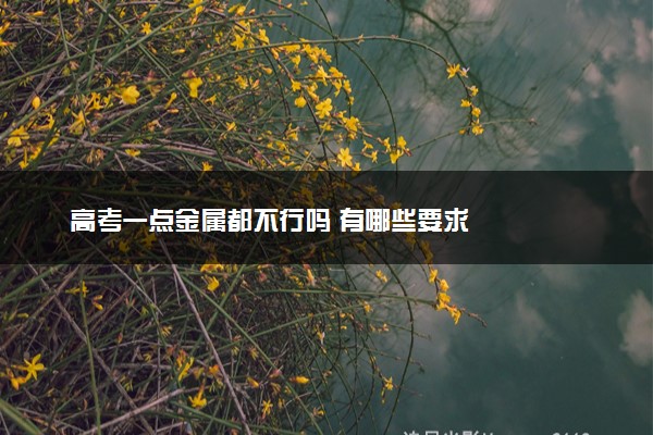 高考一点金属都不行吗 有哪些要求