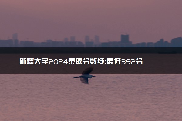 新疆大学2024录取分数线：最低392分 附2025年报考建议及注意事项
