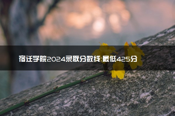 宿迁学院2024录取分数线：最低425分 附2025年报考建议及注意事项
