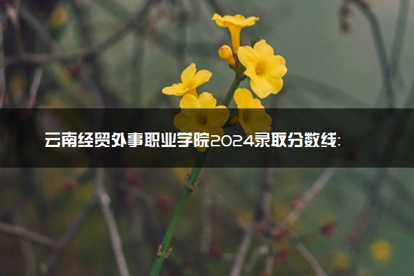 云南经贸外事职业学院2024录取分数线：最低180分 附2025年报考建议及注意事项