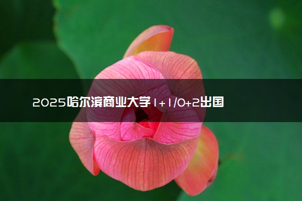 2025哈尔滨商业大学1+1/0+2出国留学硕士项目招生简章
