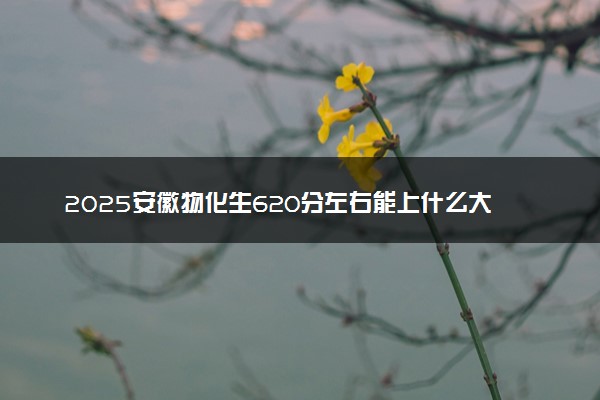 2025安徽物化生620分左右能上什么大学 可以报考的院校名单