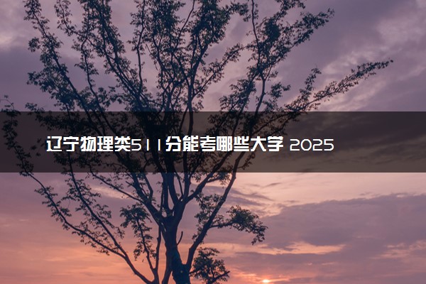 辽宁物理类511分能考哪些大学 2025考生稳上的大学名单
