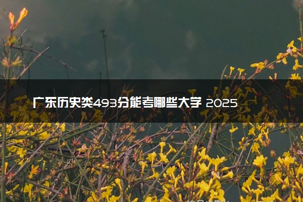 广东历史类493分能考哪些大学 2025考生稳上的大学名单
