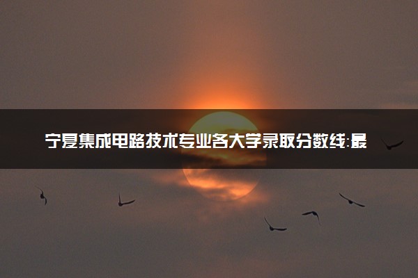 宁夏集成电路技术专业各大学录取分数线：最低317分能上 开设院校及位次