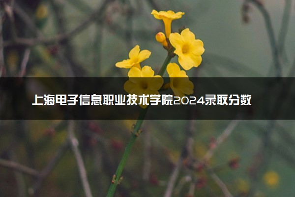 上海电子信息职业技术学院2024录取分数线：最低120分 附2025年报考建议及注意事项