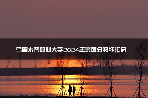 乌鲁木齐职业大学2024年录取分数线汇总 各省最低分与位次排名及2025报考指南