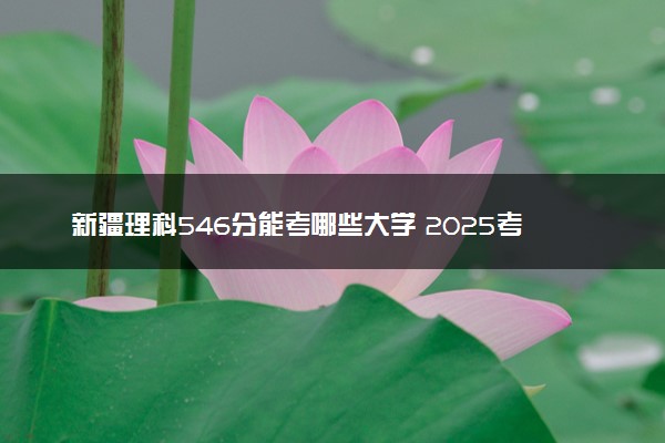 新疆理科546分能考哪些大学 2025考生稳上的大学名单