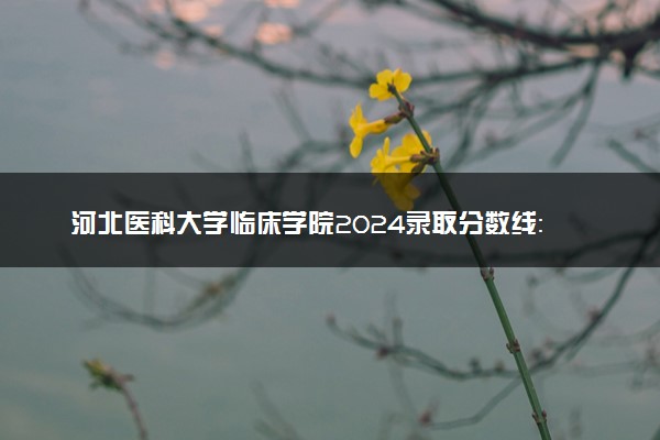 河北医科大学临床学院2024录取分数线：最低375分 附2025年报考建议及注意事项