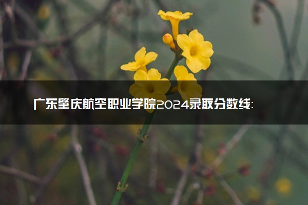 广东肇庆航空职业学院2024录取分数线：最低156分 附2025年报考建议及注意事项