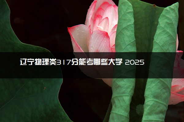 辽宁物理类317分能考哪些大学 2025考生稳上的大学名单