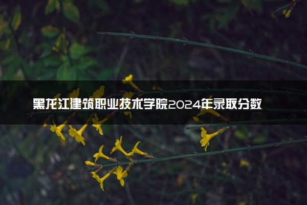 黑龙江建筑职业技术学院2024年录取分数线：四川435分领跑，陕西176分垫底 2025报考建议及事项