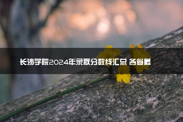长沙学院2024年录取分数线汇总 各省最低分与位次排名及2025报考指南