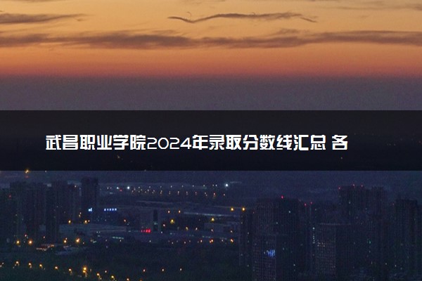 武昌职业学院2024年录取分数线汇总 各省最低分与位次排名及2025报考指南
