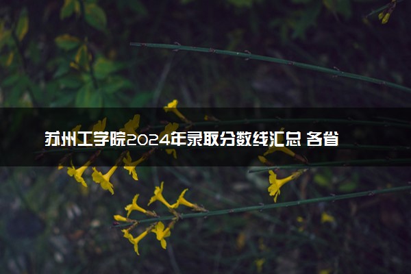 苏州工学院2024年录取分数线汇总 各省最低分与位次排名及2025报考指南
