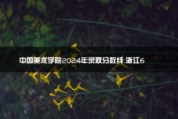 中国美术学院2024年录取分数线：浙江623分领跑，新疆456分垫底 2025报考建议及事项