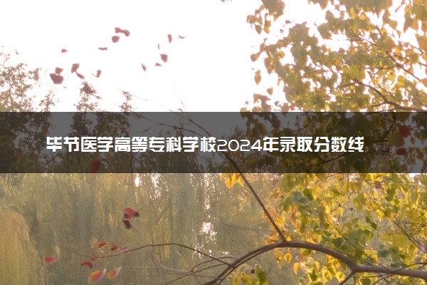 毕节医学高等专科学校2024年录取分数线汇总 各省最低分与位次排名及2025报考指南
