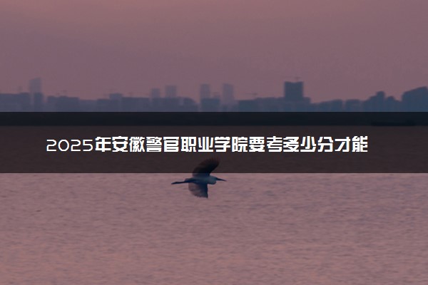 2025年安徽警官职业学院要考多少分才能上？历年录取分数线及报考指南（含预测）