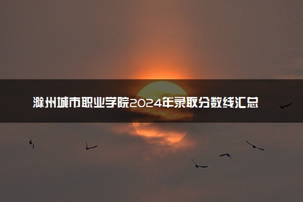 滁州城市职业学院2024年录取分数线汇总 各省最低分与位次排名及2025报考指南