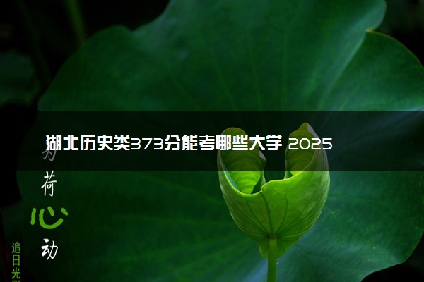 湖北历史类373分能考哪些大学 2025考生稳上的大学名单