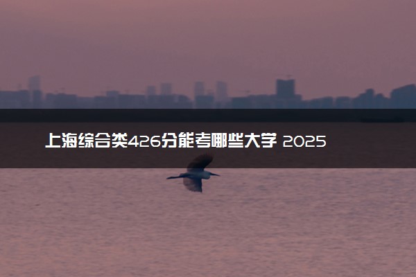 上海综合类426分能考哪些大学 2025考生稳上的大学名单
