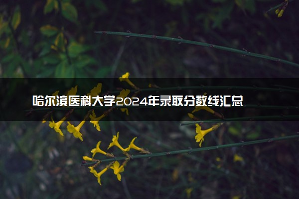 哈尔滨医科大学2024年录取分数线汇总 各省最低分与位次排名及2025报考指南