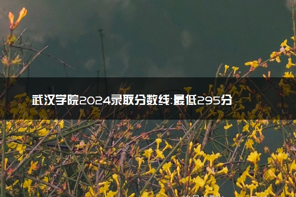 武汉学院2024录取分数线：最低295分 附2025年报考建议及注意事项
