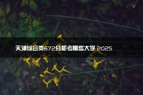 天津综合类672分能考哪些大学 2025考生稳上的大学名单