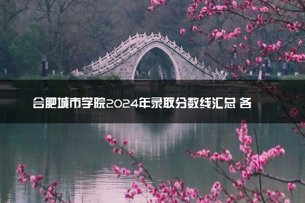 合肥城市学院2024年录取分数线汇总 各省最低分与位次排名及2025报考指南