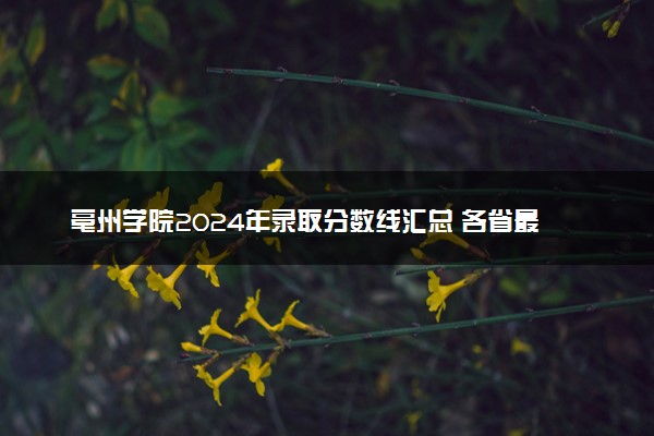 亳州学院2024年录取分数线汇总 各省最低分与位次排名及2025报考指南