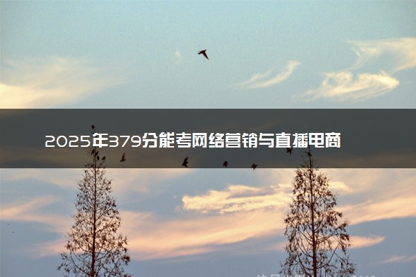 2025年379分能考网络营销与直播电商专业吗 379分网络营销与直播电商专业大学推荐