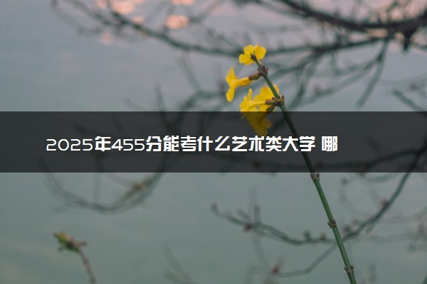 2025年455分能考什么艺术类大学 哪些大学值得报