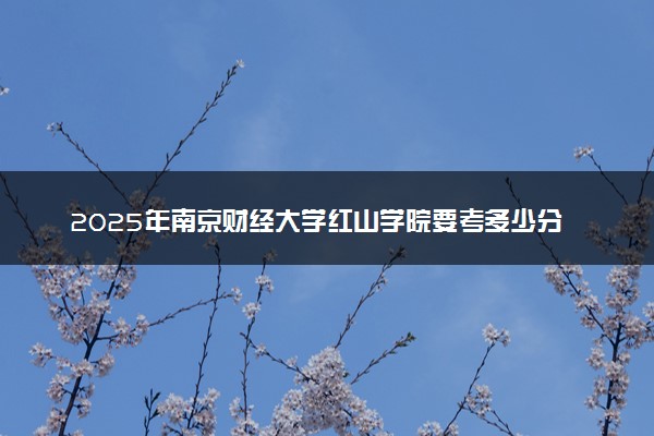 2025年南京财经大学红山学院要考多少分才能上？历年录取分数线及报考指南（含预测）