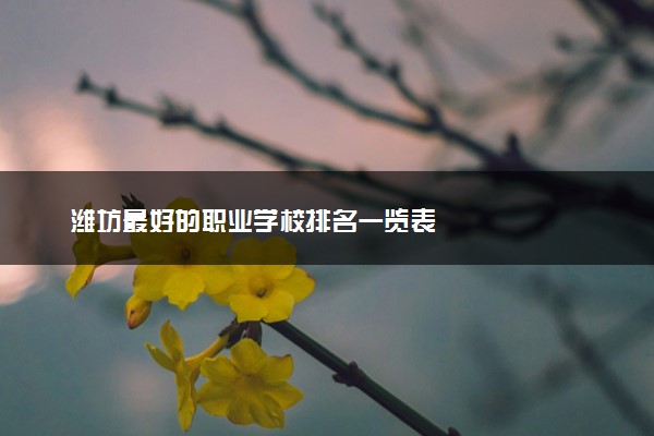 潍坊最好的职业学校排名一览表
