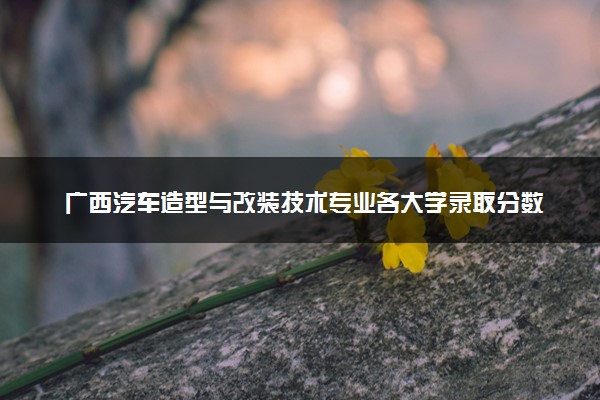 广西汽车造型与改装技术专业各大学录取分数线：最低341分能上 开设院校及位次